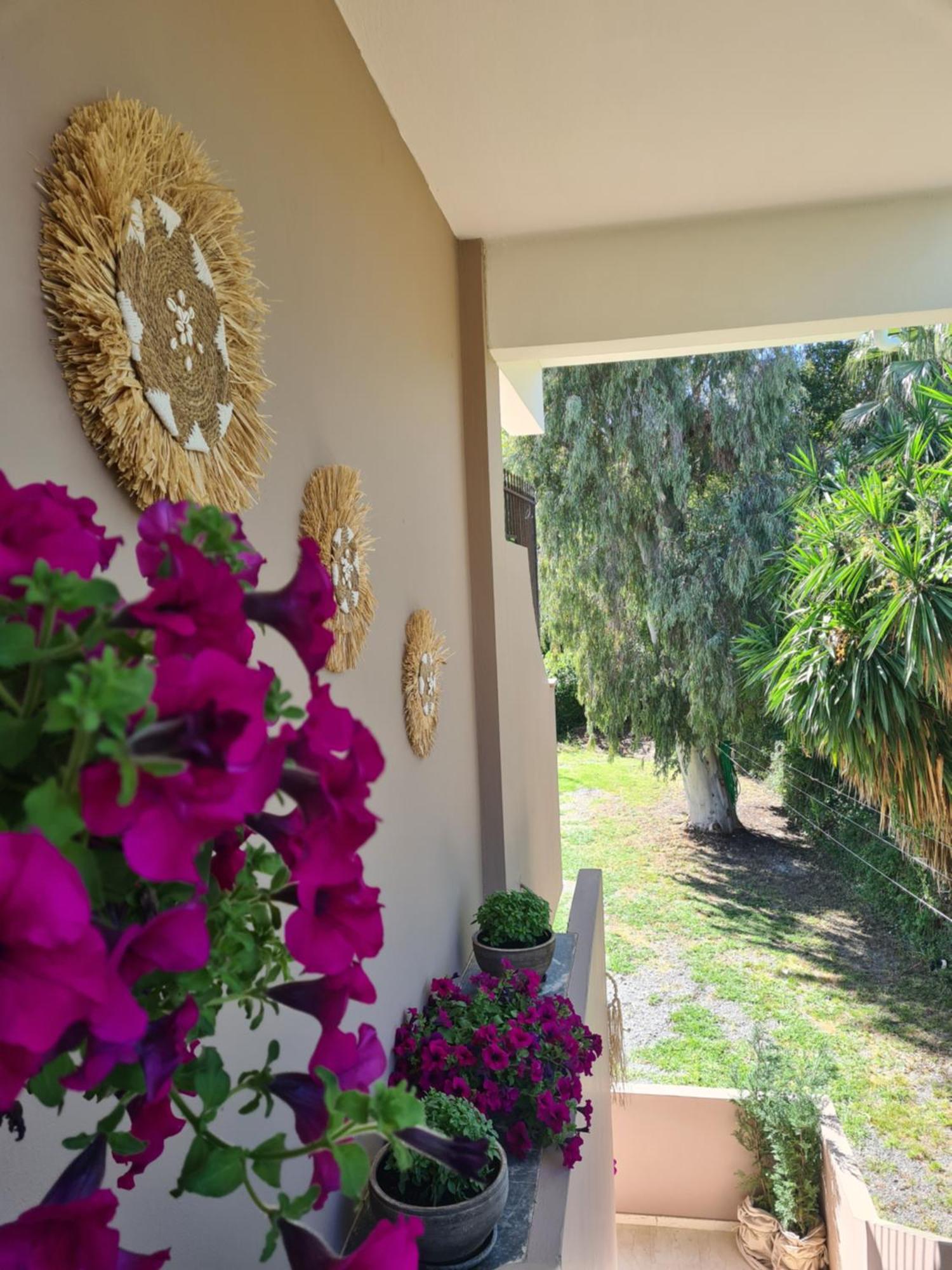 Malibu Summer Studios Dassia  Exterior photo